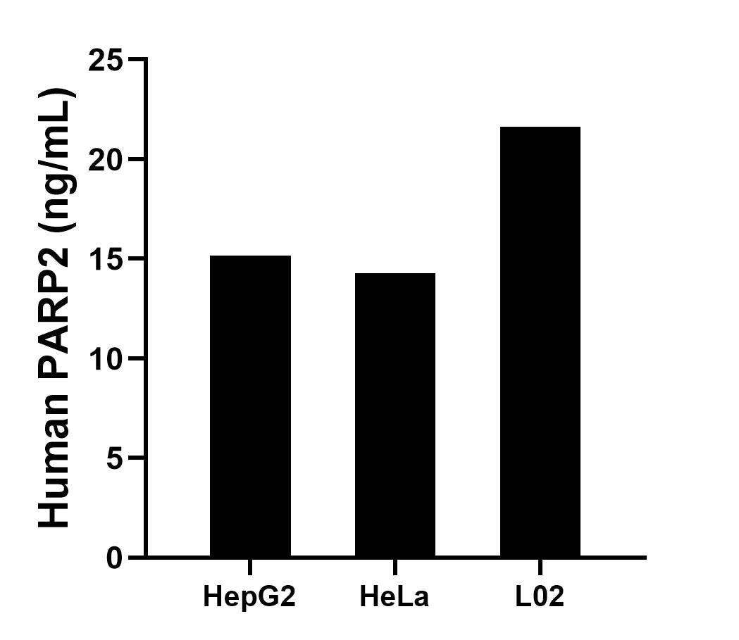 Sample test of MP00045-4